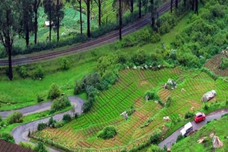 Ooty - Shri Brahmari Travels