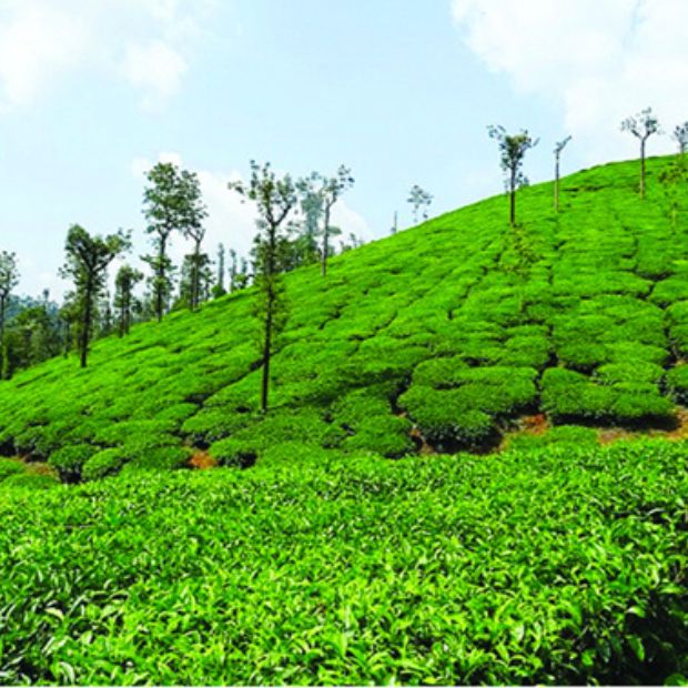 Chikmagalur